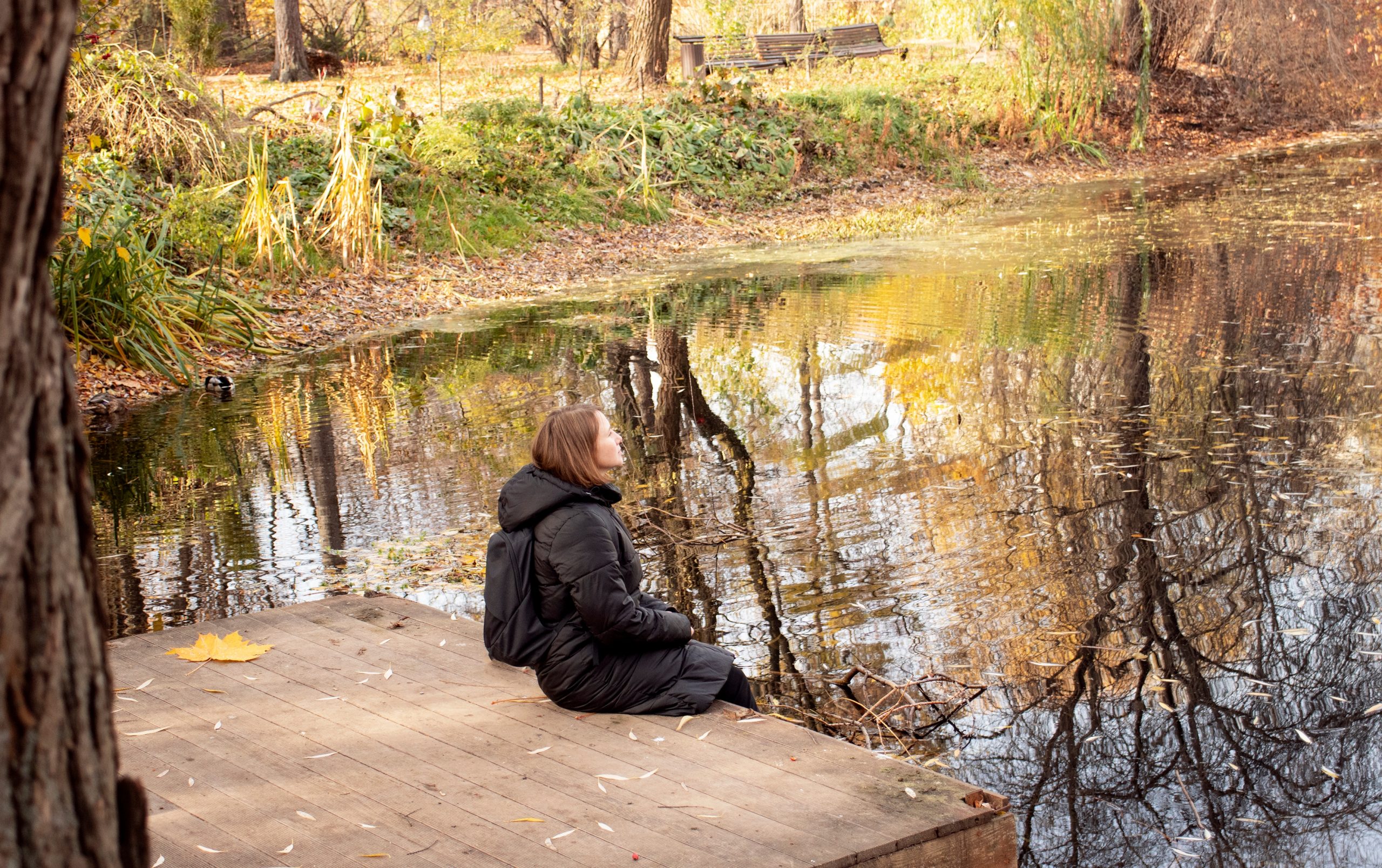 Free Alcohol Rehab vs Private Alcohol Rehab: Which Is Right for You?