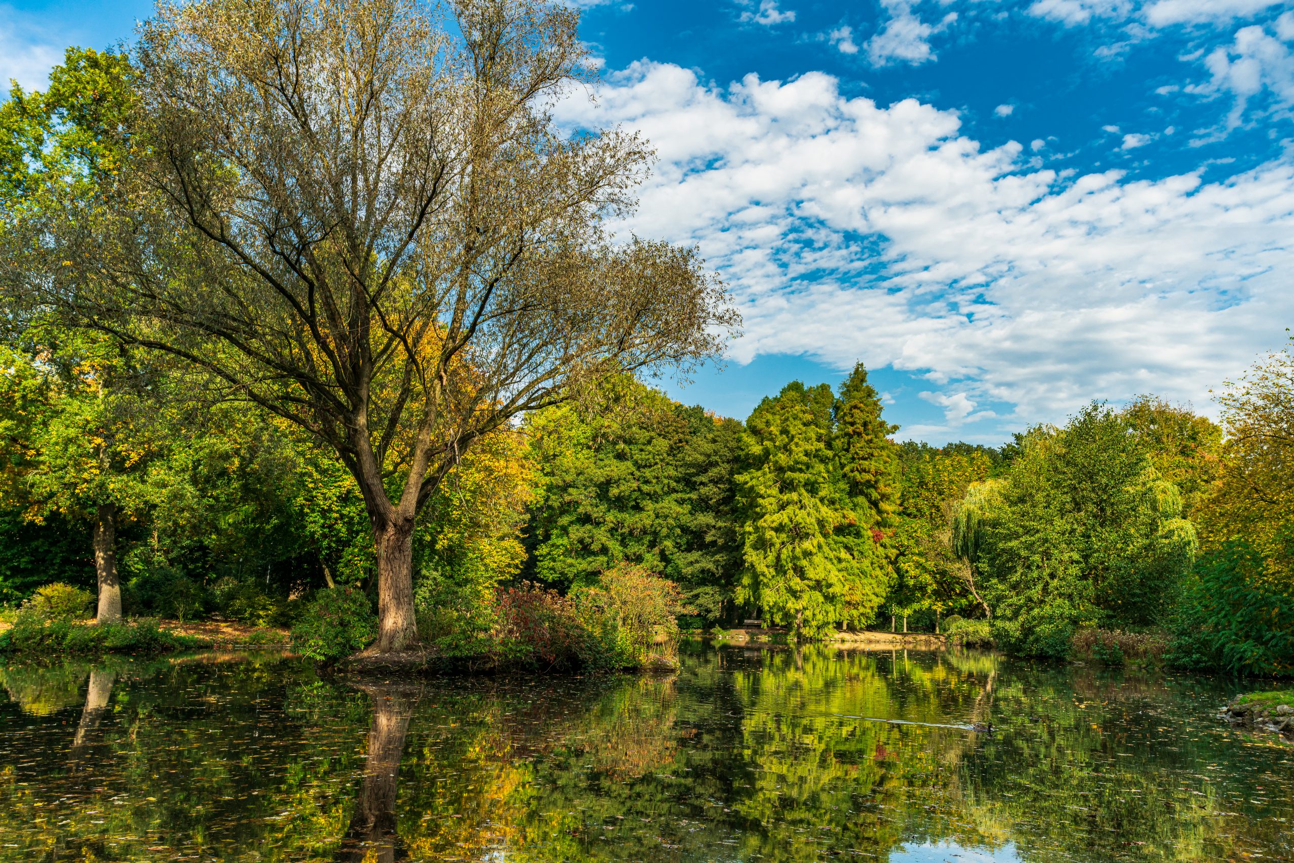 Alcohol Rehab: Signs It’s time to seek Alcohol Rehab